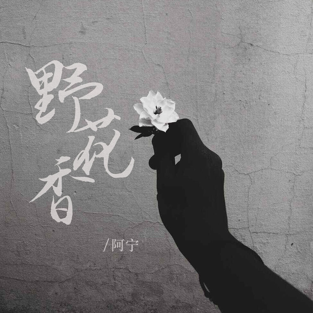 阿宁