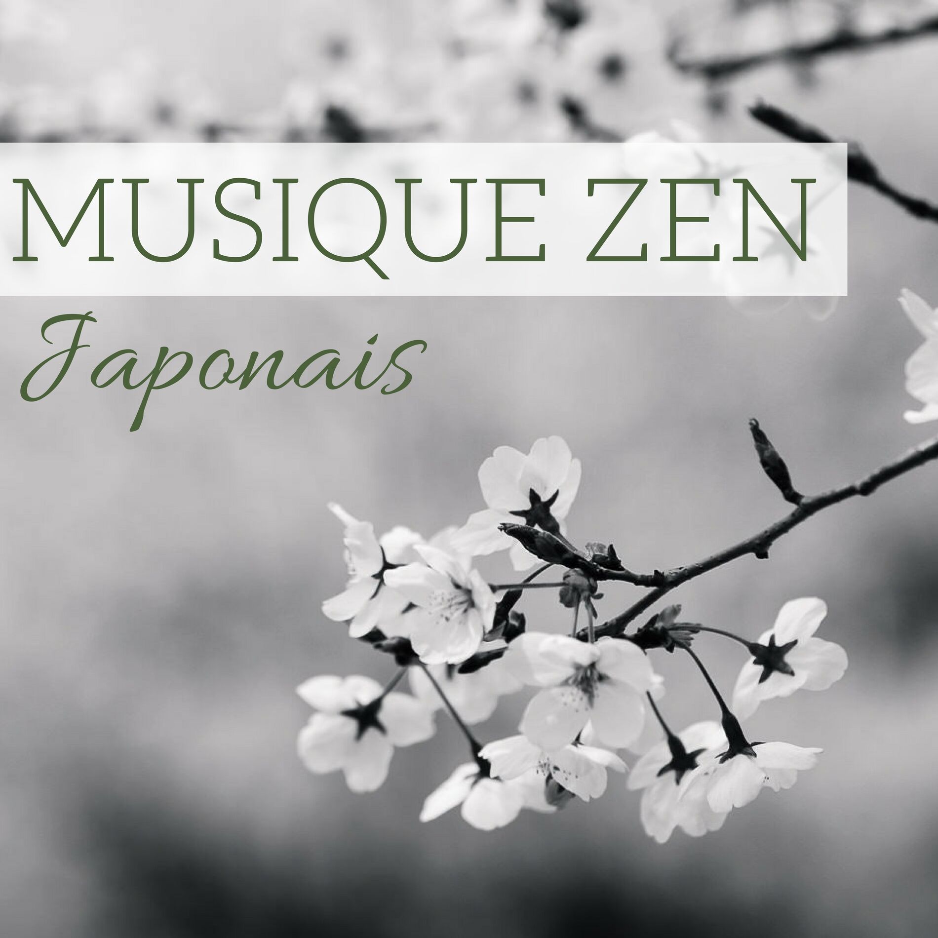 Jardin japonais