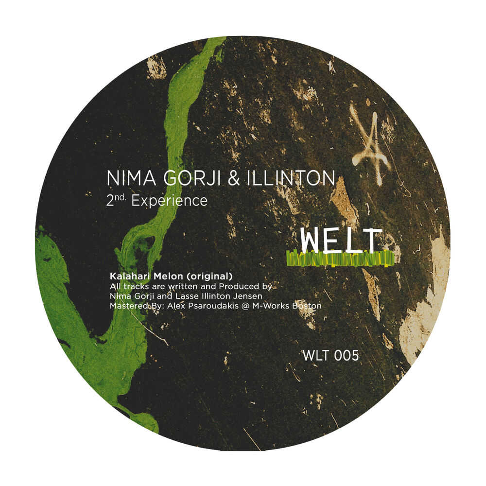 Picture of Nima Gorji, Illinton
