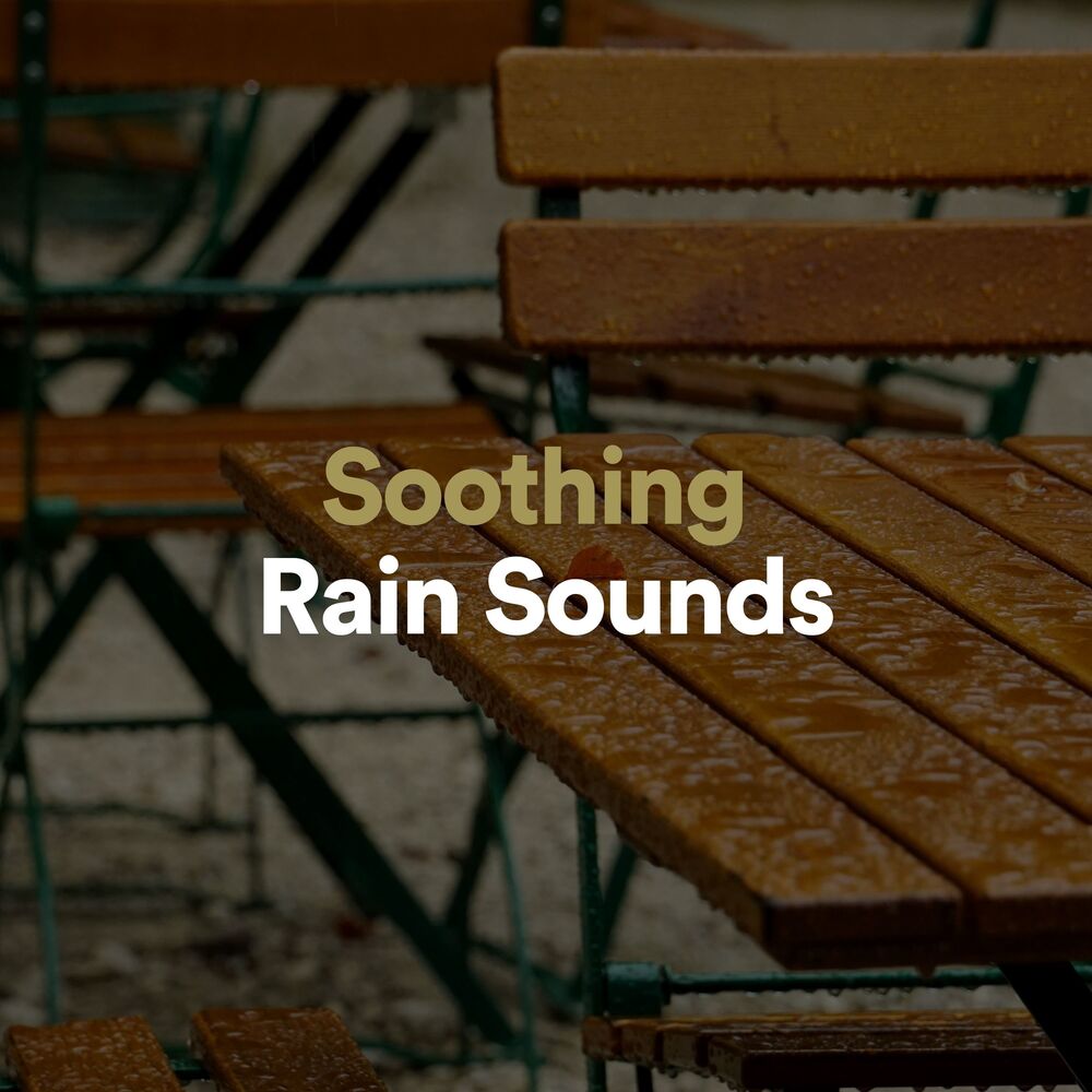 Picture of Rainforest Sounds