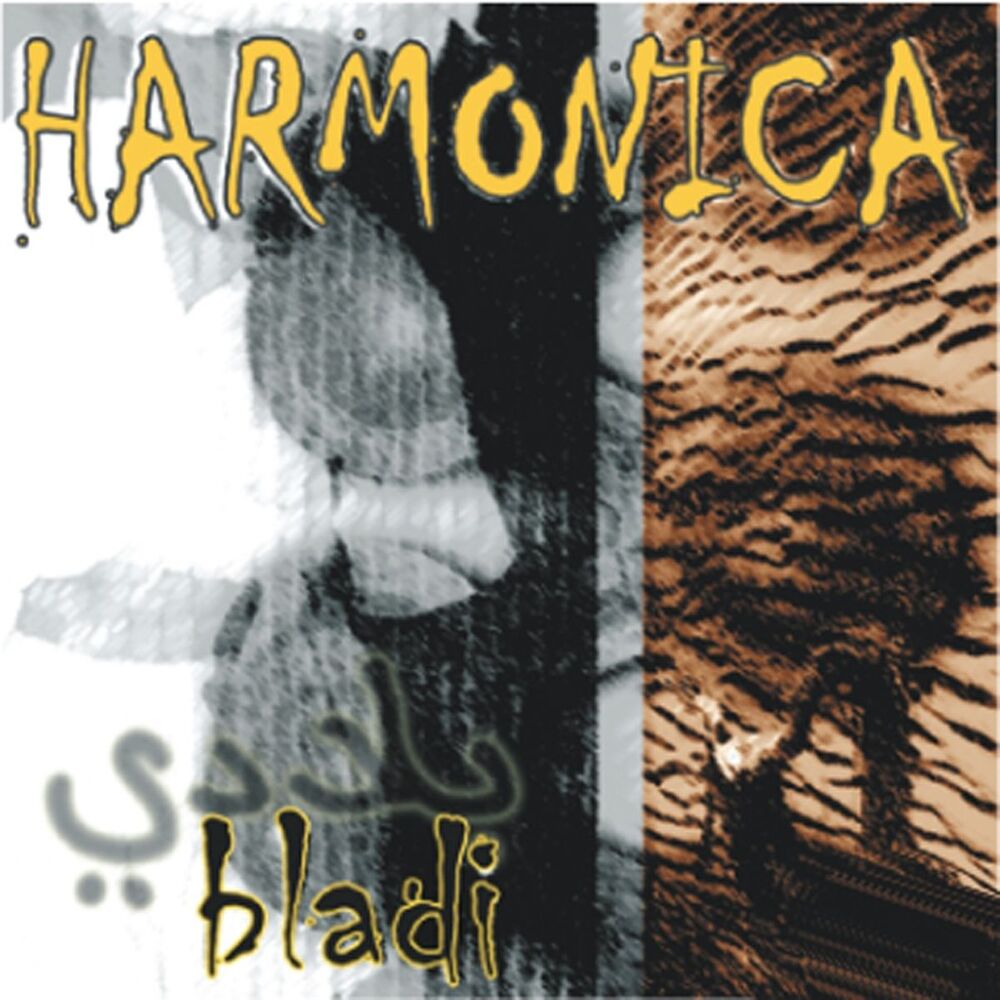 Picture of Harmonica