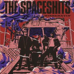 Picture of The Spaceshits