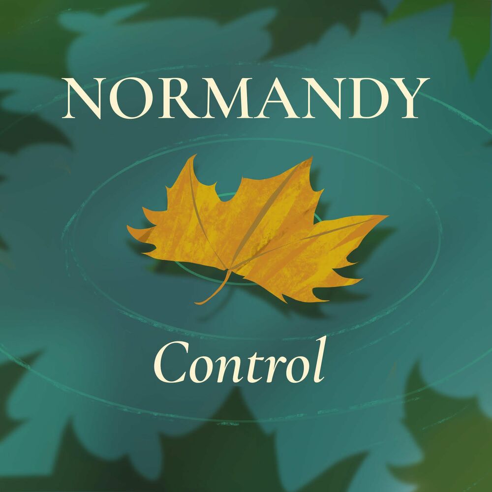 Picture of Normandy