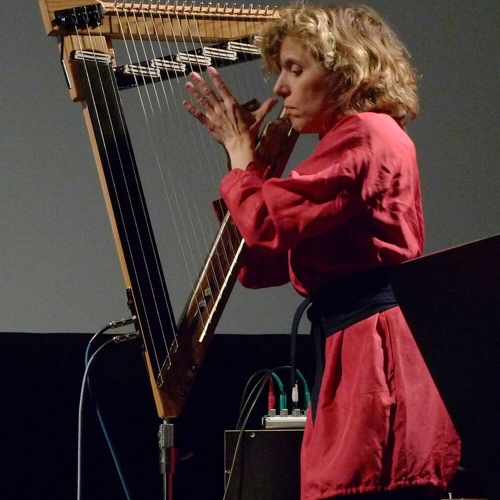 Picture of Zeena Parkins