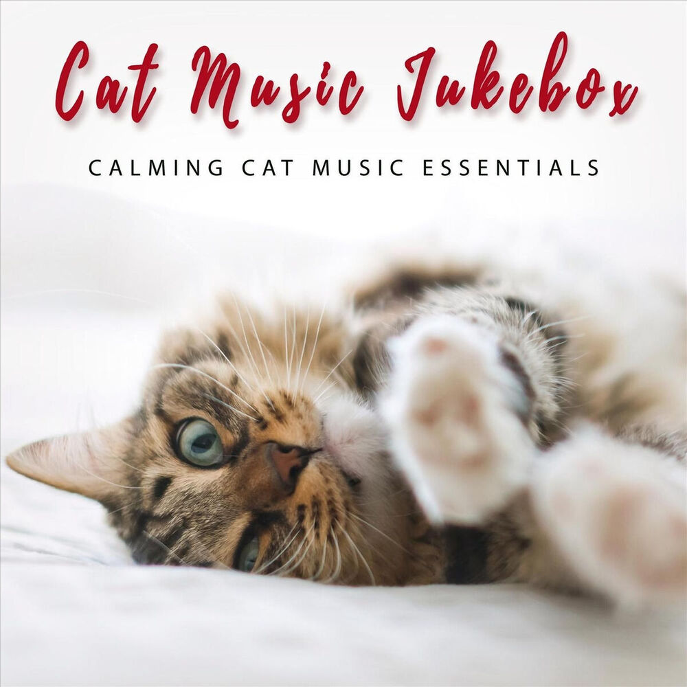 Picture of Cat Music Jukebox