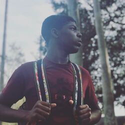 Picture of Kingspeedy