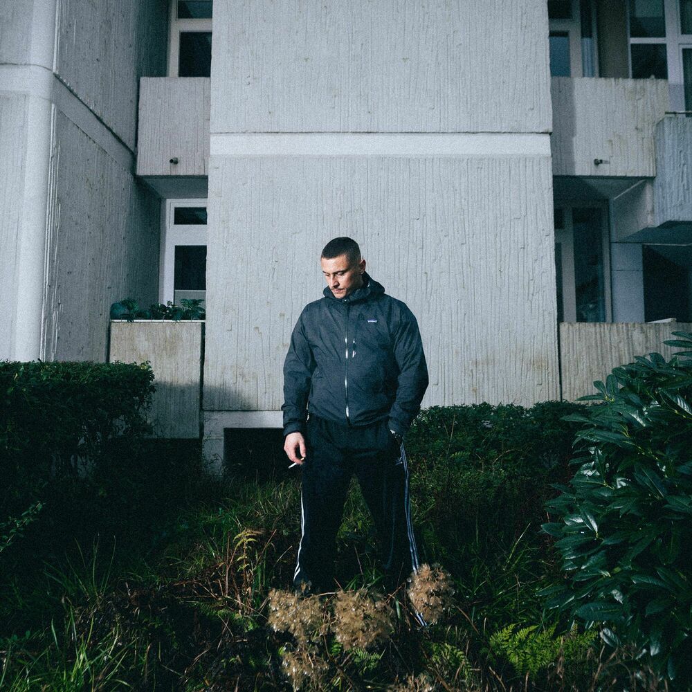 Picture of Disarstar