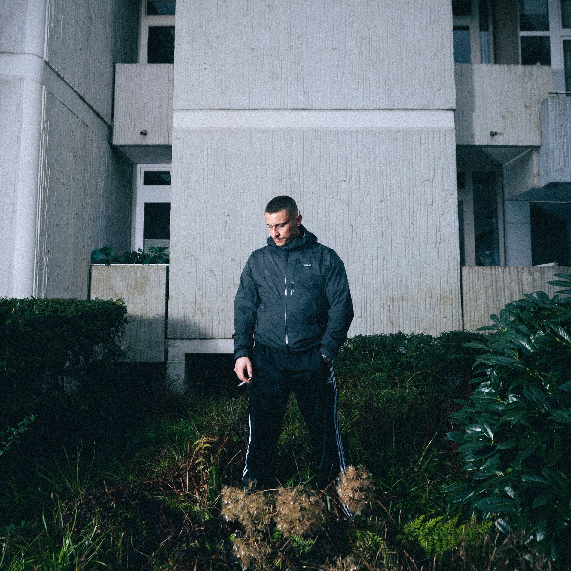 Disarstar