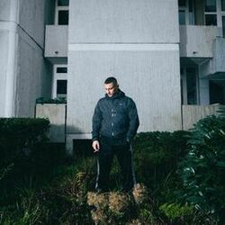 Picture of Disarstar