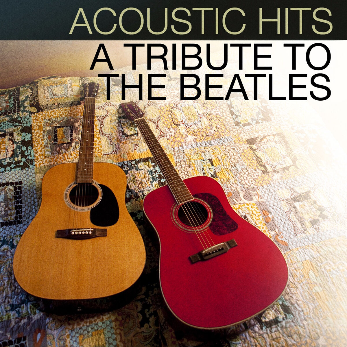 Artist picture of Acoustic Hits