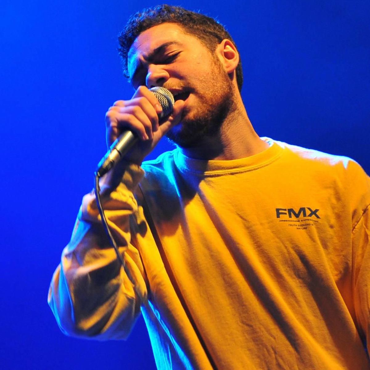 Artist picture of Wiki