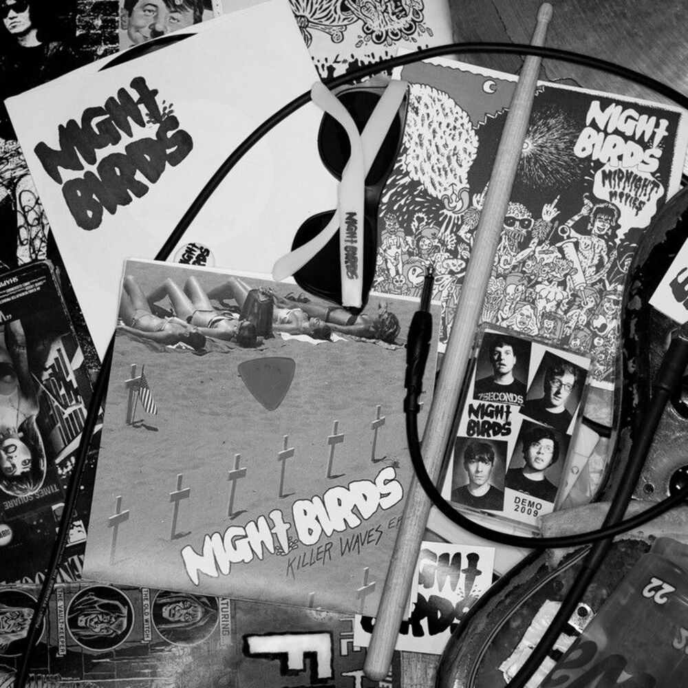Picture of Night Birds