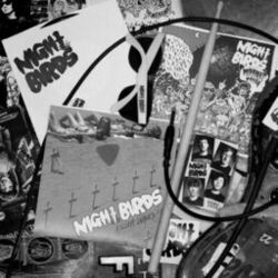 Picture of Night Birds