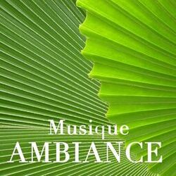 Picture of Musique Ambiance Détente