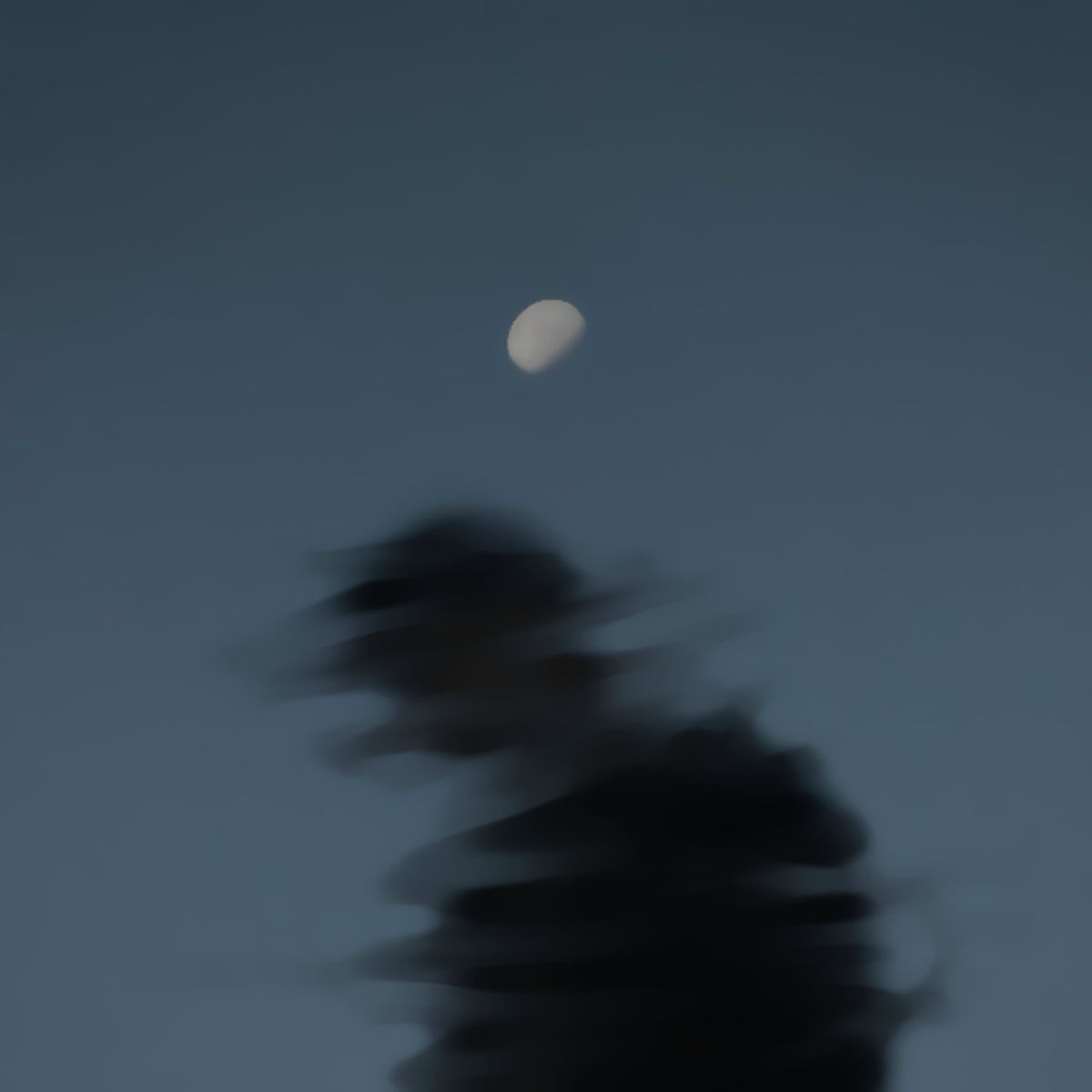 Artist picture of Cuby