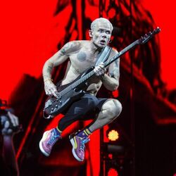 Picture of Flea