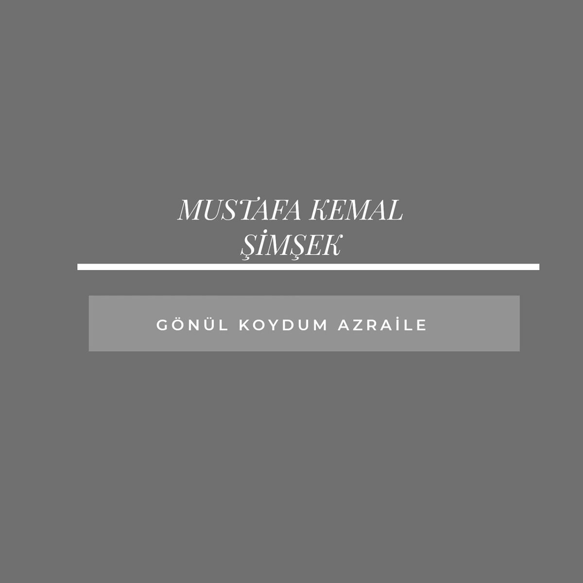 Artist picture of Mustafa Kemal Şimşek
