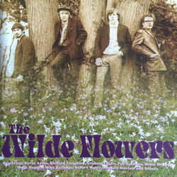 Picture of The Wilde Flowers