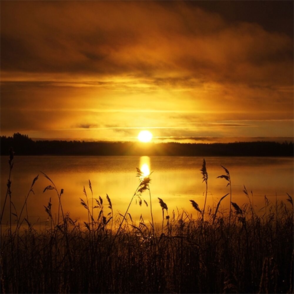 Picture of Morning Jazz Background Club