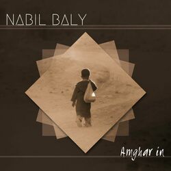 Picture of Nabil Baly Othmani