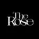 The Rose