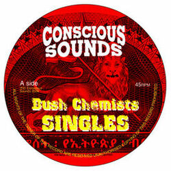 Picture of Bush Chemists and King General