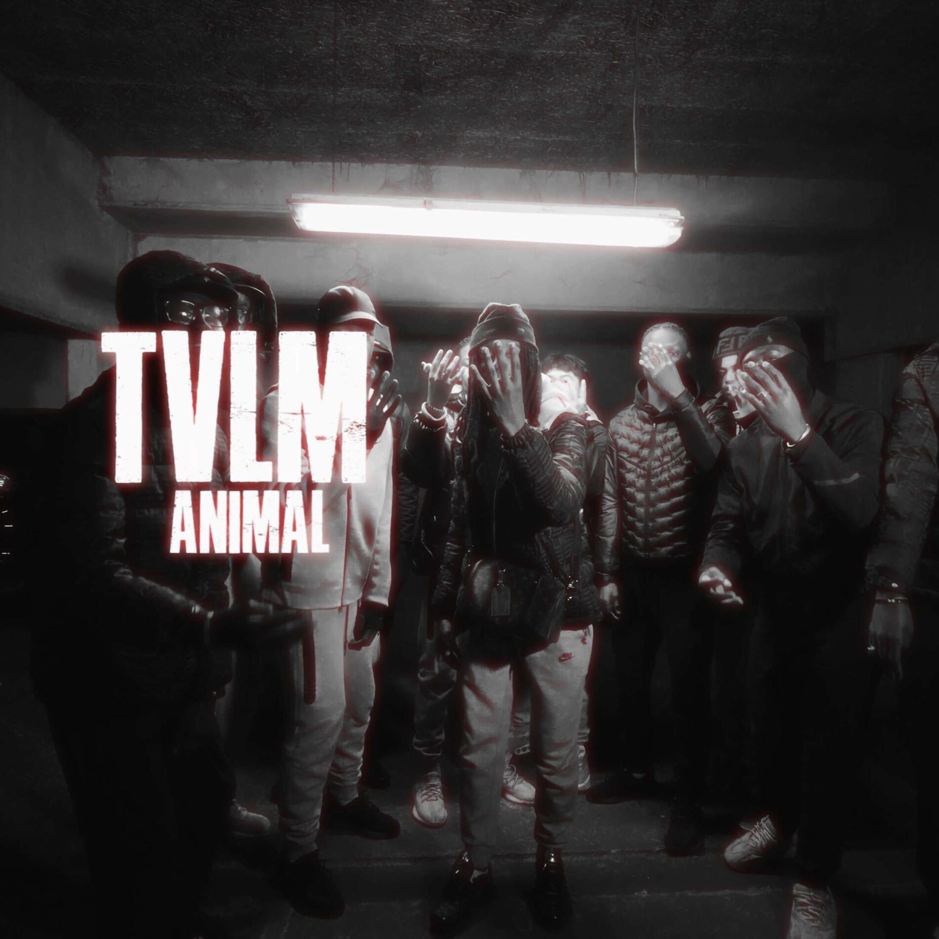 TVLM