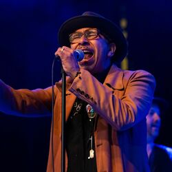Picture of Kid Congo Powers
