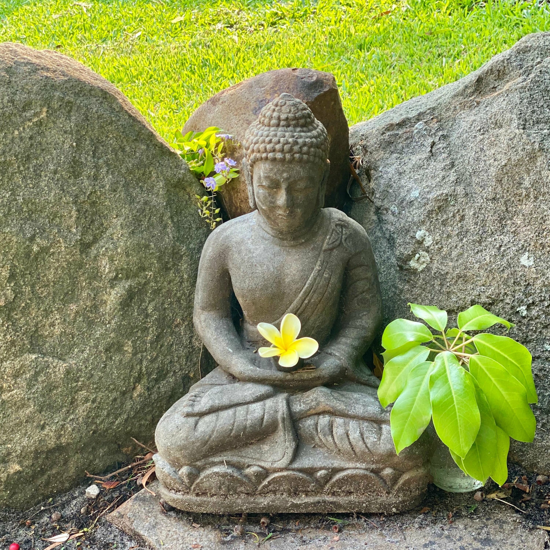 Buddha's Lounge
