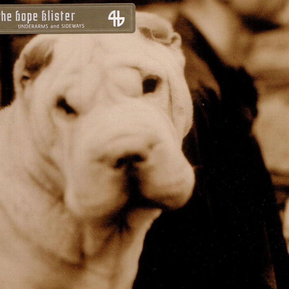Picture of The Hope Blister