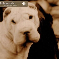 Picture of The Hope Blister