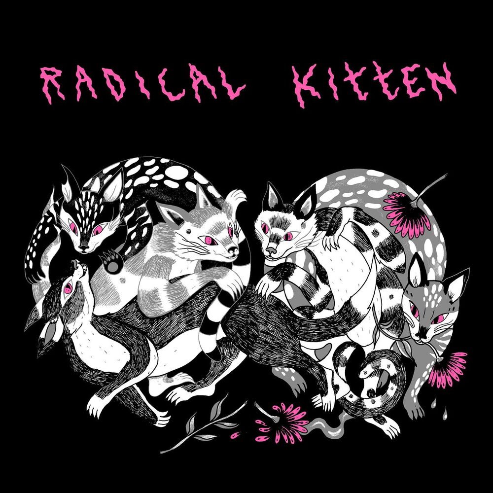 Picture of Radical Kitten