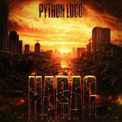 Picture of Python Loco