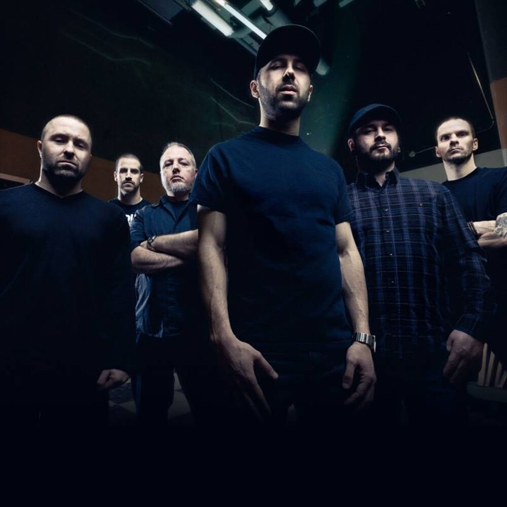 Picture of Despised Icon