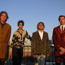 The Sadies