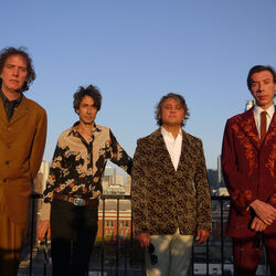 Picture of The Sadies