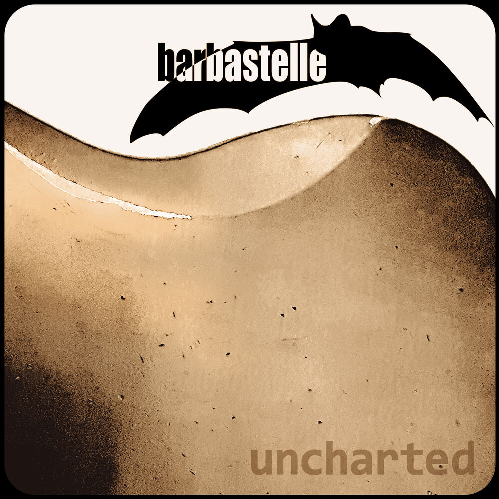 Picture of barbastelle