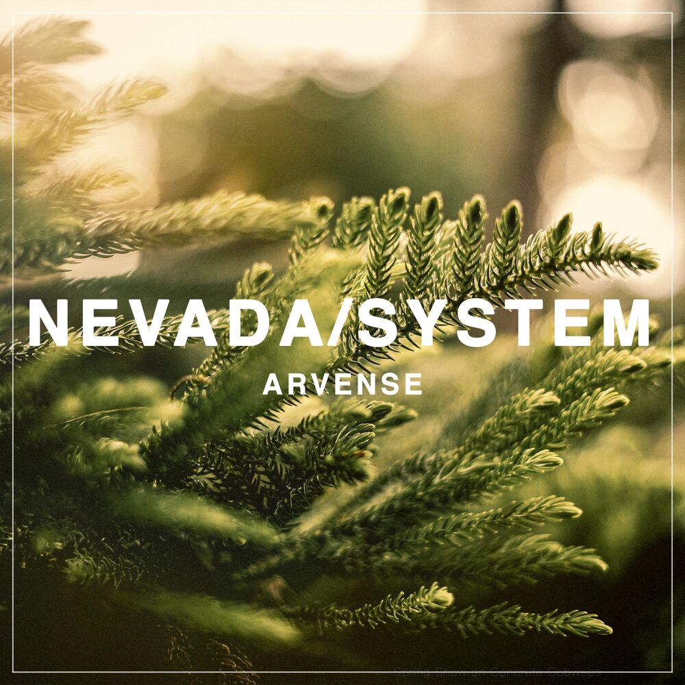 Picture of NevadaSYSTEM