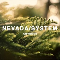 Picture of NevadaSYSTEM