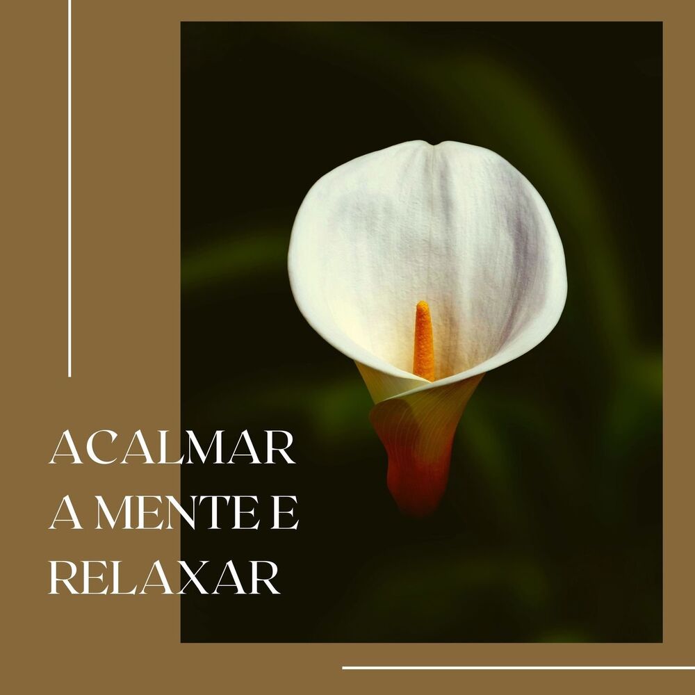 Picture of Ansiedade Tratamento