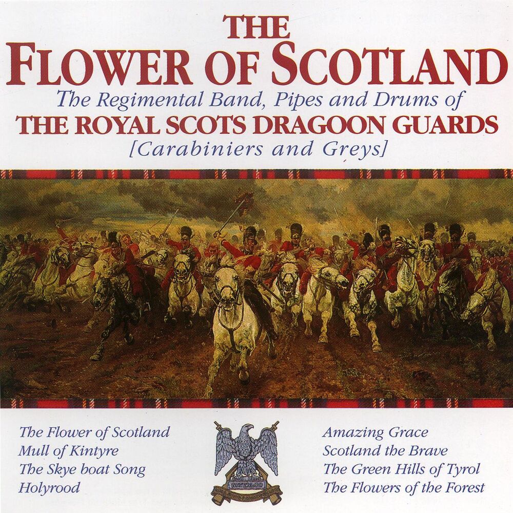 Picture of The Regimental Band