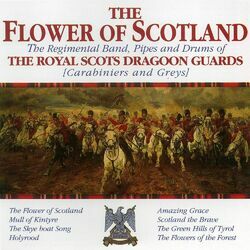 Picture of The Regimental Band