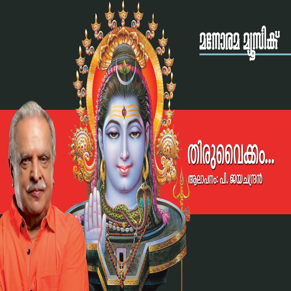 Picture of P.Jayachandran
