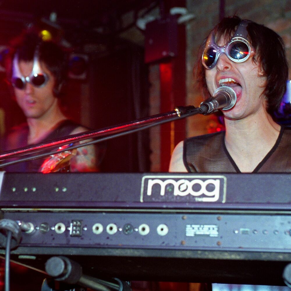 Picture of The Locust