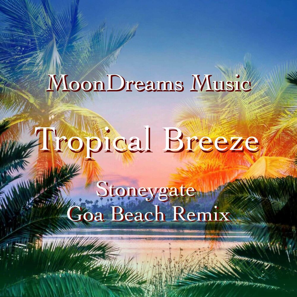 Picture of Moondreams Music