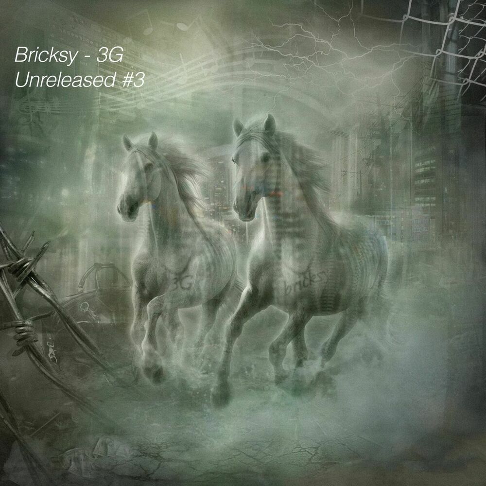 Picture of Bricksy & 3g
