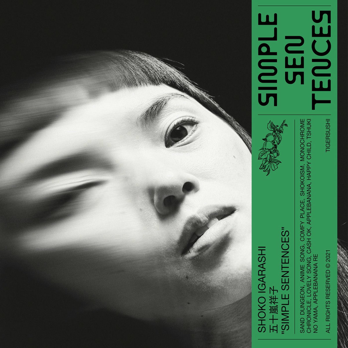Shoko Igarashi
