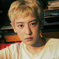 Picture of CHANYEOL