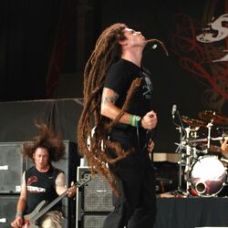 Picture of Shadows Fall