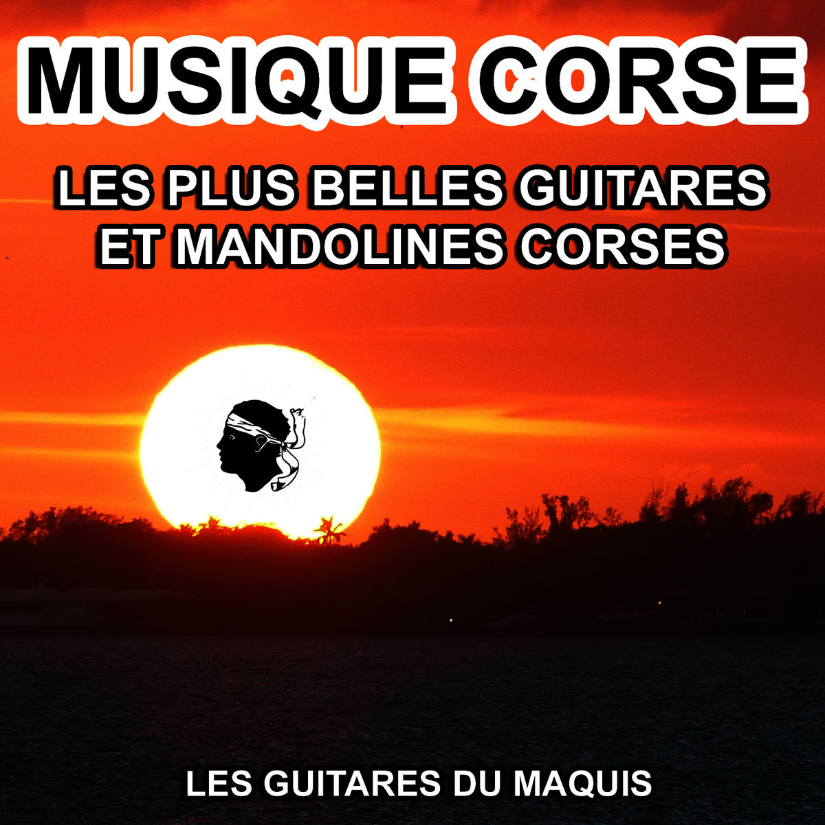 Artist picture of Les Guitares du Maquis